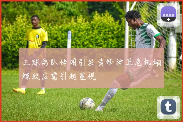 三球离队传闻引发黄蜂控卫危机蝴蝶效应需引起重视