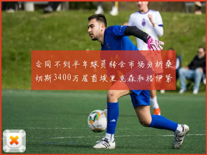 合同不到半年球员转会市场分析桑切斯3400万居首埃里克森和格伊紧随其后