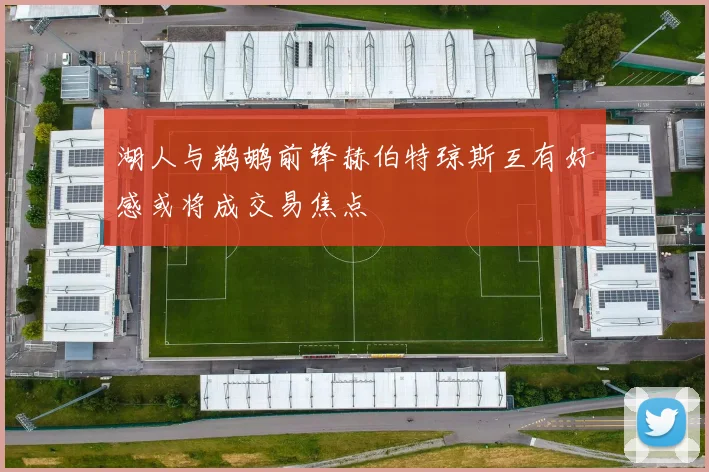 湖人与鹈鹕前锋赫伯特琼斯互有好感或将成交易焦点