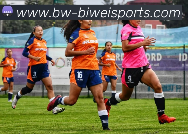 必威体育发展历程