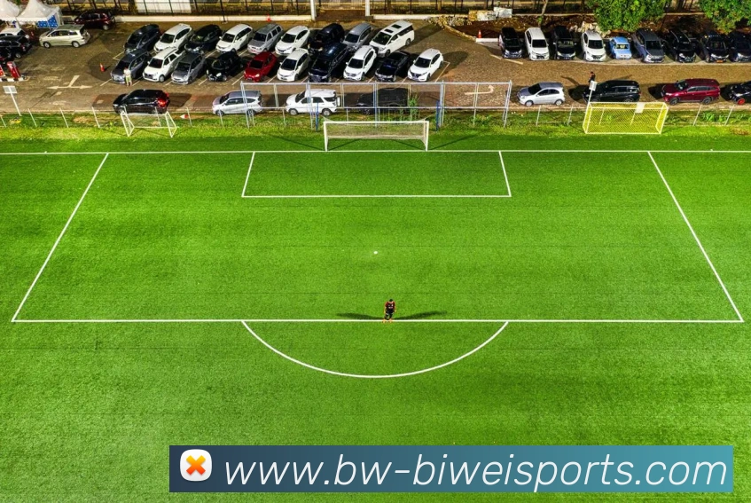 吉米的篮球智商引领费城雷霆不败之路扬尼斯在森林中展现统治力